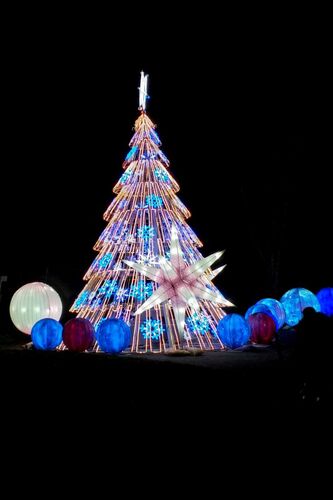 2021 - Palace of Light, Lightopia, Crystal Palace :: Dave Cusselle